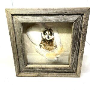 Sandy Shiroma Handpainted Owl Art on Feathers Framed